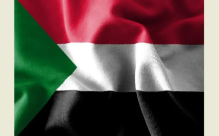 سفارة السودان وزعت مبادرة حكومة بلادها للسلام