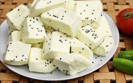 دراسة تكشف.. تناول الجبنة يقلل من احتمال الخرف