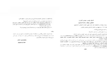 يعقوبيان وجهت سؤالا الى الحكومة حول عدم تعيين أعضاء المجلس الدستوري