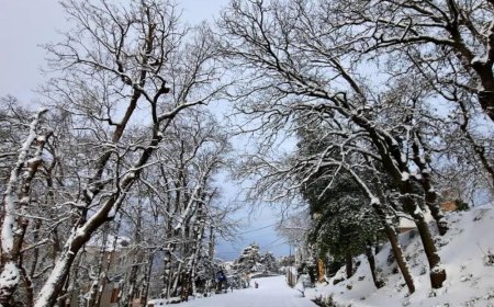 طرق مقطوعة بسبب تراكم الثلوج