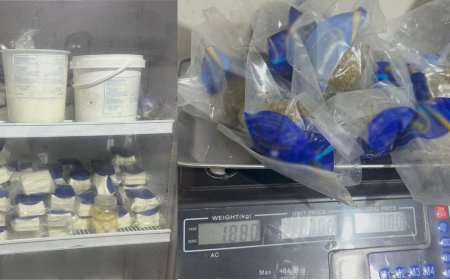 معمل ألبان وأجبان غير مرخص.. والقوى الأمنية تداهم