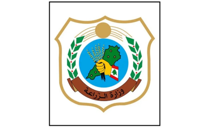 وزارة الزراعة: توقيع تعهد خطي بعد التعدي على شجرة أرز محمية في عكار