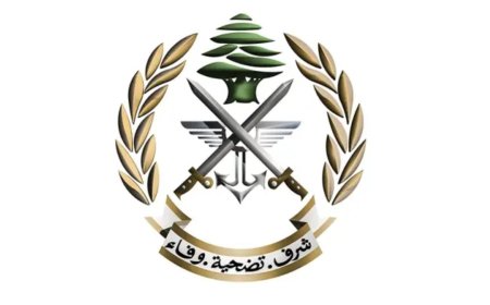 الجيش يفجر ذخائر في شويا ورامية