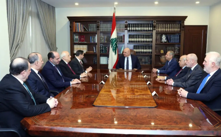 الرئيس عون التقى كتلة "الوفاق الوطني" ورئيس جامعة البلمند مع وفد قبرصي