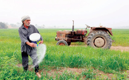 إذا كنت تغنّي وأنت تفلح الأرض… هذه المبادرة تضع صوتك على المسرح!