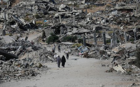 هؤلاء هم أعضاء مجلس السلام في غزة