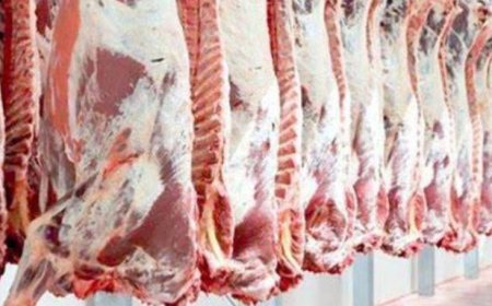 حريق في ملحمة