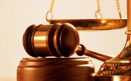 جديد قضية "ابو عمر".. هذا ما قررته القاضية عثمان