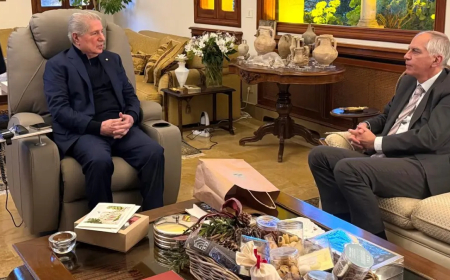 الرئيس الجميّل بحث والسفير الفرنسي في الأوضاع ودعم الجيش: لجنة الميكانيزم صمّام امان للوضع القائم