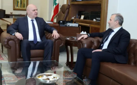 باسيل من قصر بعبدا : التفاهم بين اللبنانيين أساس مواجهة مخاطر التقسيم سياسة