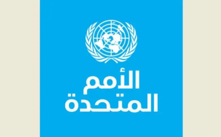 الأمم المتحدة: نزوح 134 ألف شخص في شمال شرق سوريا بعد الاشتباكات بين القوات الحكومية والكردية