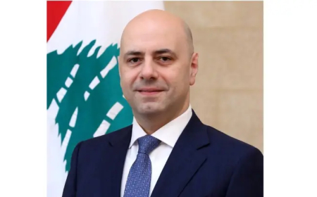 حاصباني: الحديث عن إعادة إعمار الجنوب في الوقت الراهن وعد كاذب لأهالي المنطقة