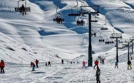 للحد من الازدحام.. قرار من بلدية كفرذبيان