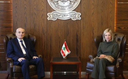 لقاء بين وزير الدفاع وبلاسخارت تطرق إلى مؤتمر باريس والمرحلة الثانية من خطة الجيش