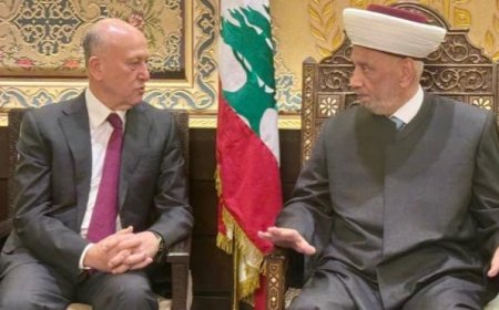 سلسلة لقاءات للمفتي دريان.. ريفي: اي خيار غير الدولة سيؤدي الى المهالك