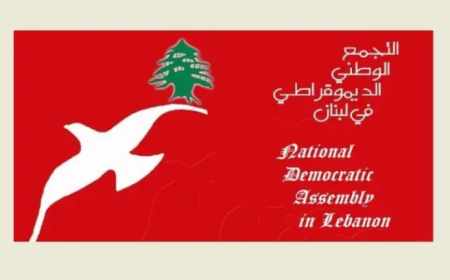 "التجمع الديموقراطي" أكد دعم مطالب الأساتذة والموظفين: لخفض أسعار المحروقات والحد من البطالة