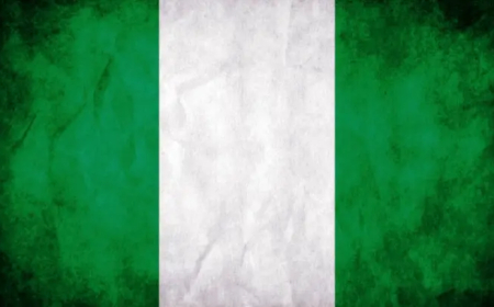 مقتل 9 جنود وفقدان العشرات في هجوم لتنظيم "داعش"في نيجيريا