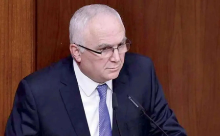 ضاهر تناول أخطاء الفجوة المالية واقترح حلولا لإنصاف المودعين