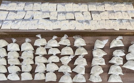 بالصور.. مداهمات للجيش وتوقيفات ومضبوطات