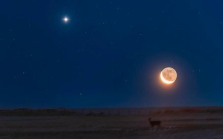 مفاجأة نادرة.. ماذا سيحصل في الأرض قريبا؟