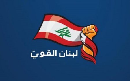 "لبنان القوي" يطعن بهذا القانون