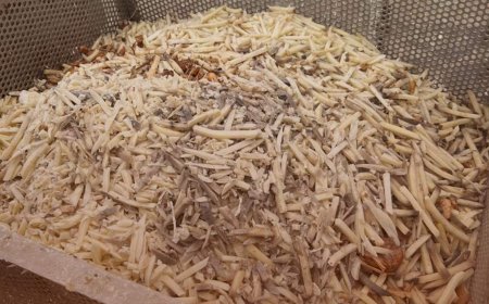 "امن الدولة" تداهم في البقاع.. واتخاذ اجراءات واقفال معامل