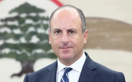 بو عاصي: "التيار الوطني" لم يقم بخطوة واحدة لتأمين حل مستدام للطاقة وكان من أول المتسببين بالانهيار الاقتصادي