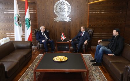 منسى عرض الاوضاع مع النائب هاشم واستقبل طلال وطارق المرعبي