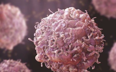 تطور جديد وكبير في علاج السرطان.. اليكم ما كشفته دراسة