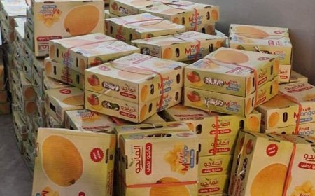 عدسات ومانغا مهربة.. والجمارك بالمرصاد