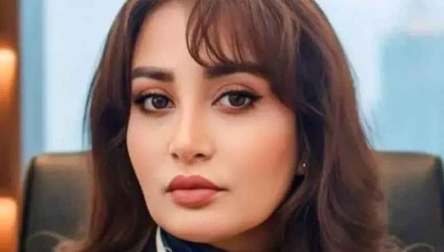 الناشطة العراقية أميرة الجابر تعلن رسميا ترشحها لرئاسة العراق