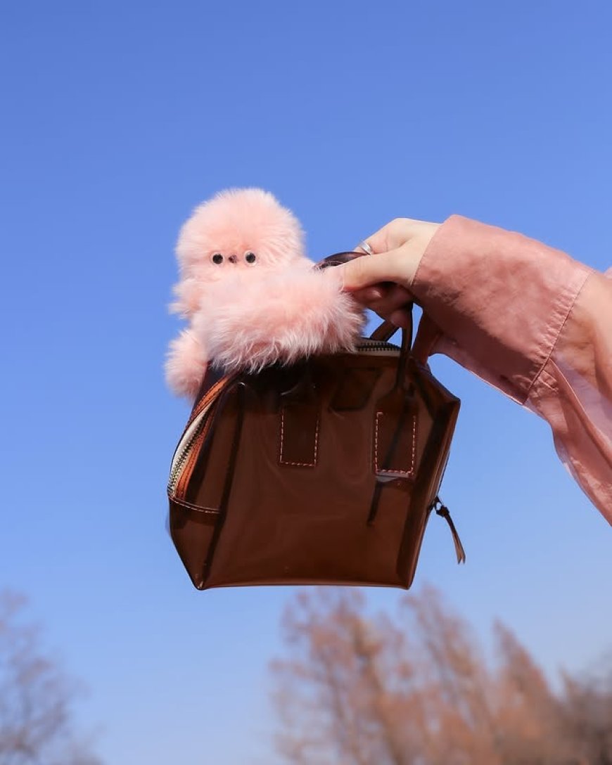 Mirumi… الإكسسوار الذي ينظر إليك ويبتسم !