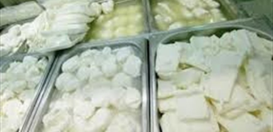 اقفال محل لبيع الألبان والأجبان في صور.. اليكم السبب