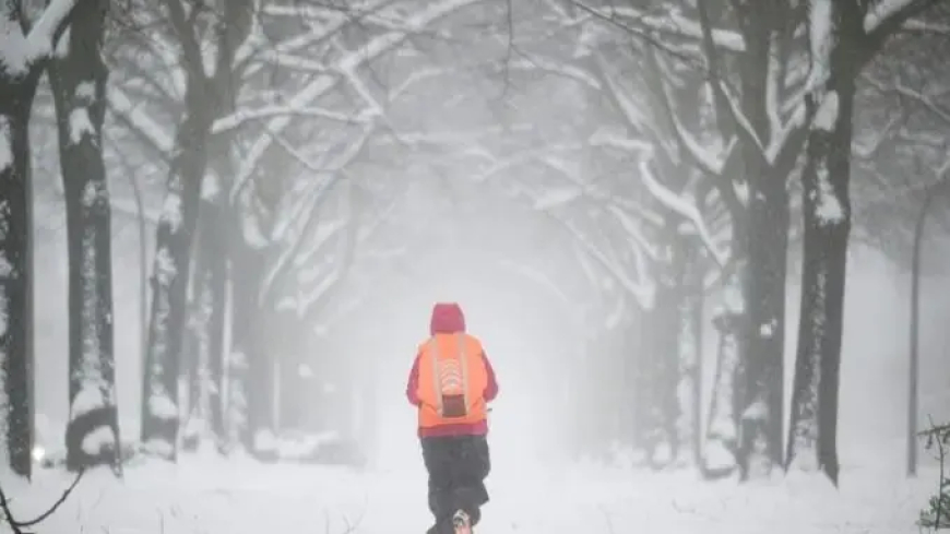 عواصف في شمال أوروبا عطلت النقل وحرم مئات الآلاف من الكهرباء