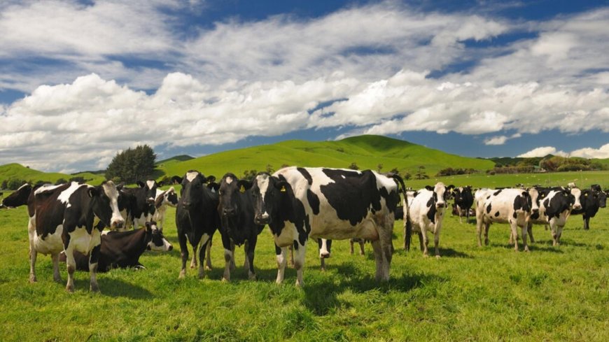 جديد "الحمى القلاعية".. هذا ما أعلنته وزارة الزراعة