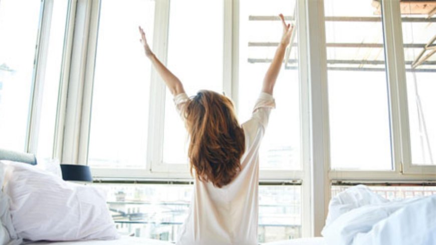 ماذا يقول علماء الأعصاب عن الضوء النهاري؟