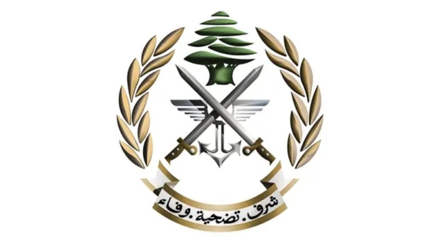 الجيش يفجر ذخائر في شويا ورامية