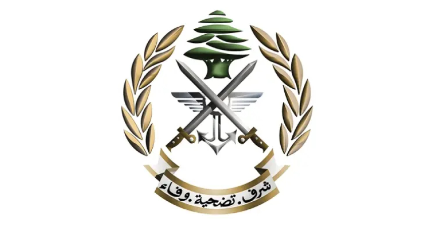 الجيش: توقيف 4 مواطنين وضبط كمية كبيرة من الأسلحة والذخائر الحربية