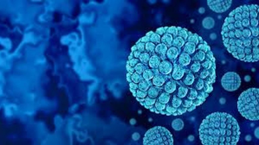 فيروس خطير يصيب 100 تلميذ