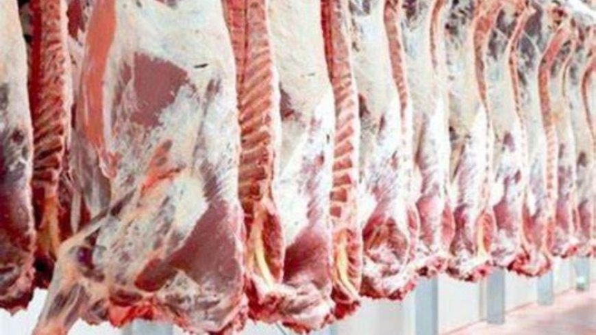 حريق في ملحمة