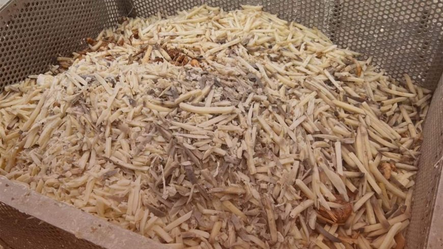 "امن الدولة" تداهم في البقاع.. واتخاذ اجراءات واقفال معامل