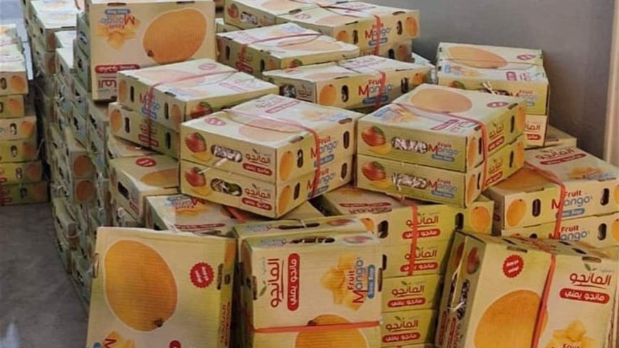 عدسات ومانغا مهربة.. والجمارك بالمرصاد