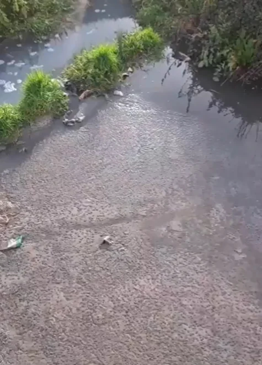 بعد مخالفة بيئية.. "الليطاني" تدق ناقوس الخطر