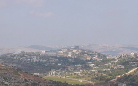 رش مواد سامة على المزروعات.. وقلق في عيتا الشعب