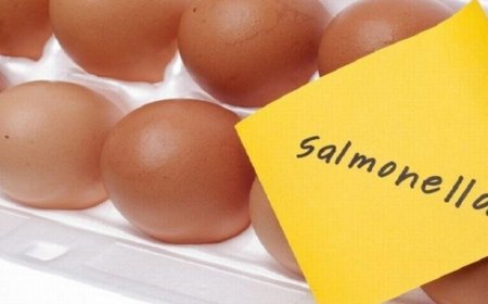 كيف نحمي أنفسنا من عدوى السالمونيلا؟