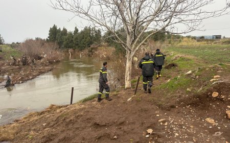 جثة في العريضة