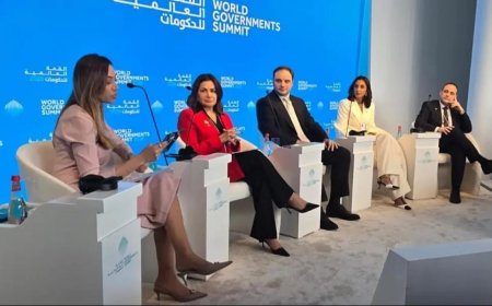 السيد من دبي: لترسيخ الدولة كالإطار الجامع لكل اللبنانيين