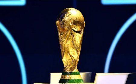 هل تقاطع ألمانيا كأس العالم في أميركا؟