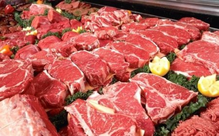 مداهمات في صور.. وضبط مستودع لحوم فاسدة