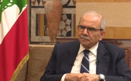 من التقى الرئيس سلام  في السراي الحكومي؟